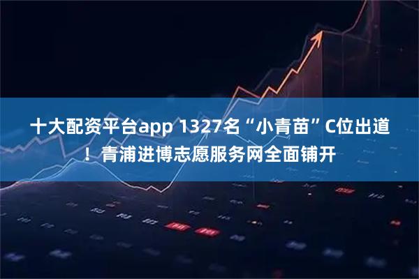 十大配资平台app 1327名“小青苗”C位出道！青浦进博志愿服务网全面铺开
